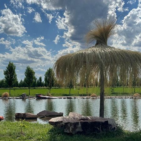 Апартаменты Complejo Koi Хенераль-Альвеар Экстерьер фото