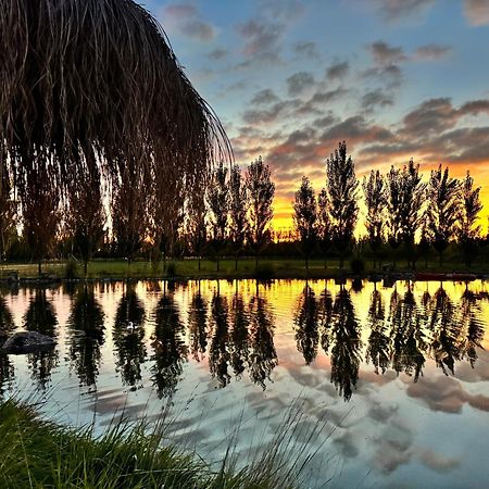 Апартаменты Complejo Koi Хенераль-Альвеар Экстерьер фото